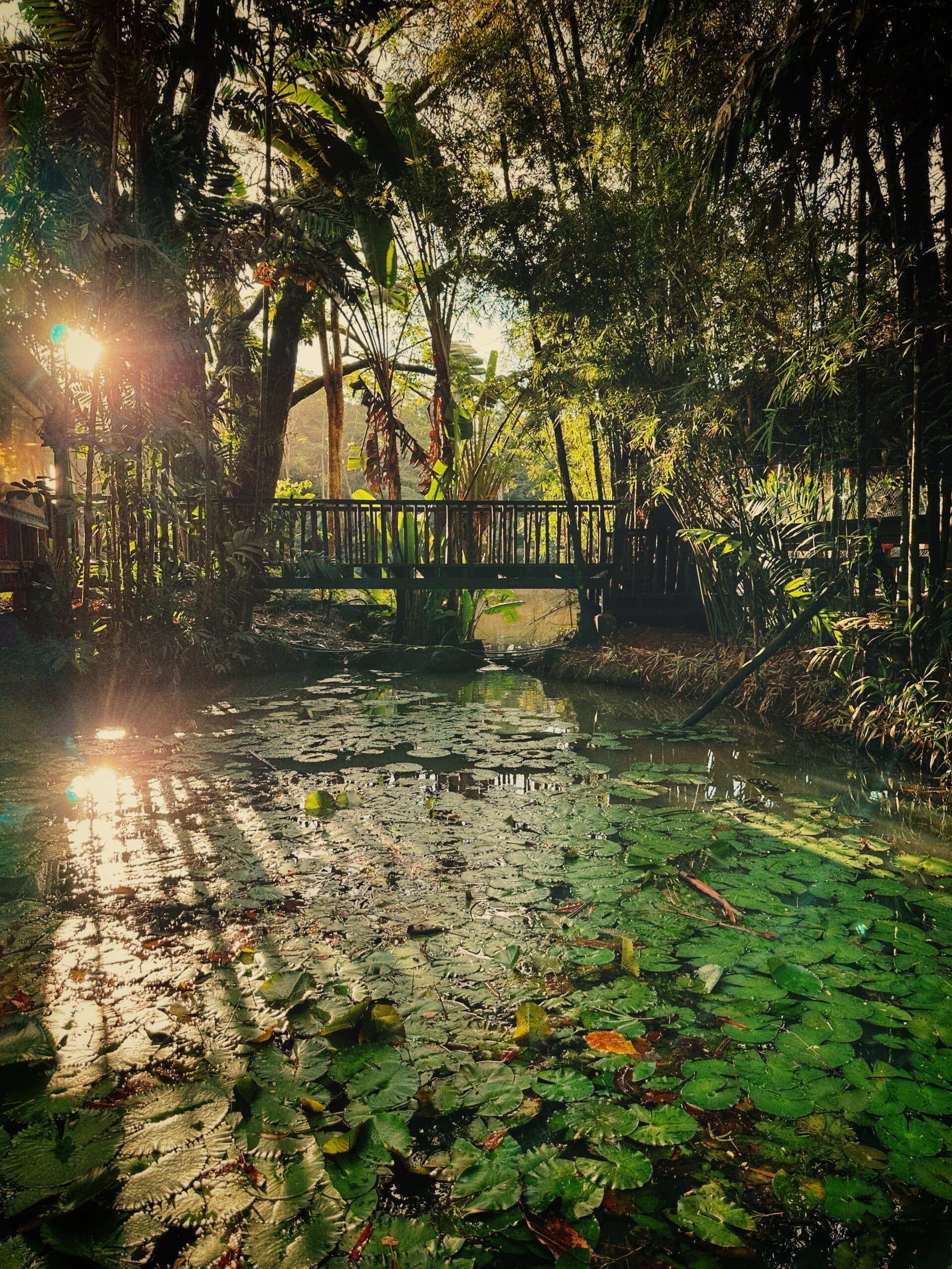 Rainforest Eco Lodge